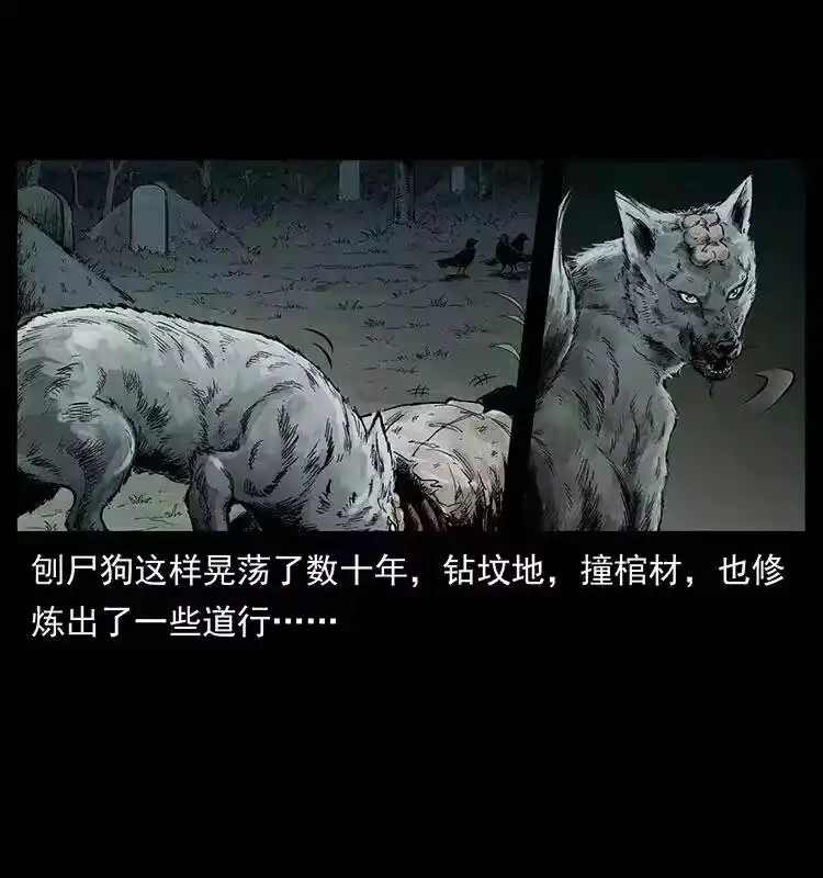 幽冥诡匠_h 344 刨尸狗&大冥皇 第4页