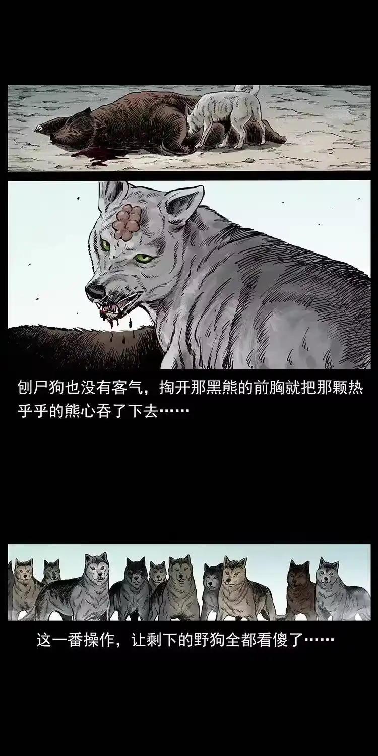 幽冥诡匠_h 344 刨尸狗&大冥皇 第51页