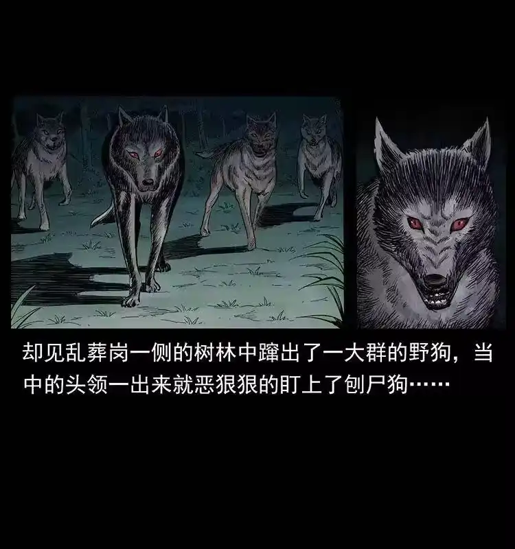 幽冥诡匠_h 344 刨尸狗&大冥皇 第6页