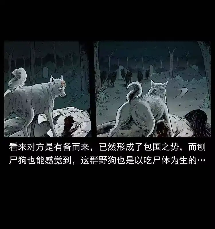 幽冥诡匠_h 344 刨尸狗&大冥皇 第7页