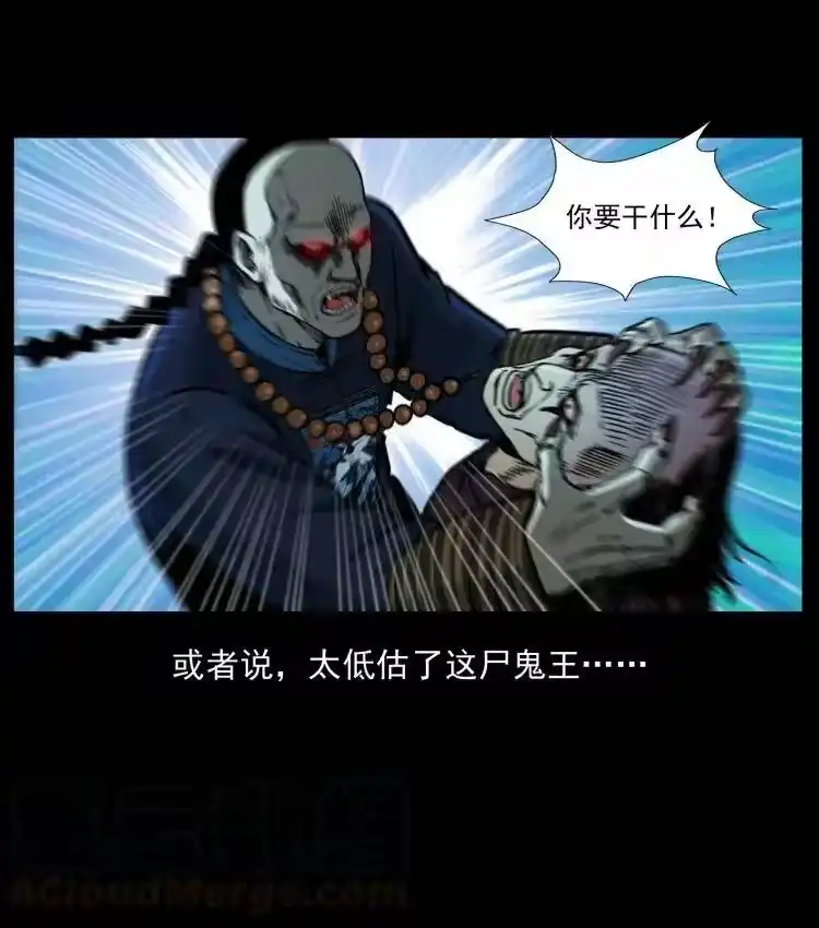 幽冥诡匠_h 357 阴尸丹 第28页