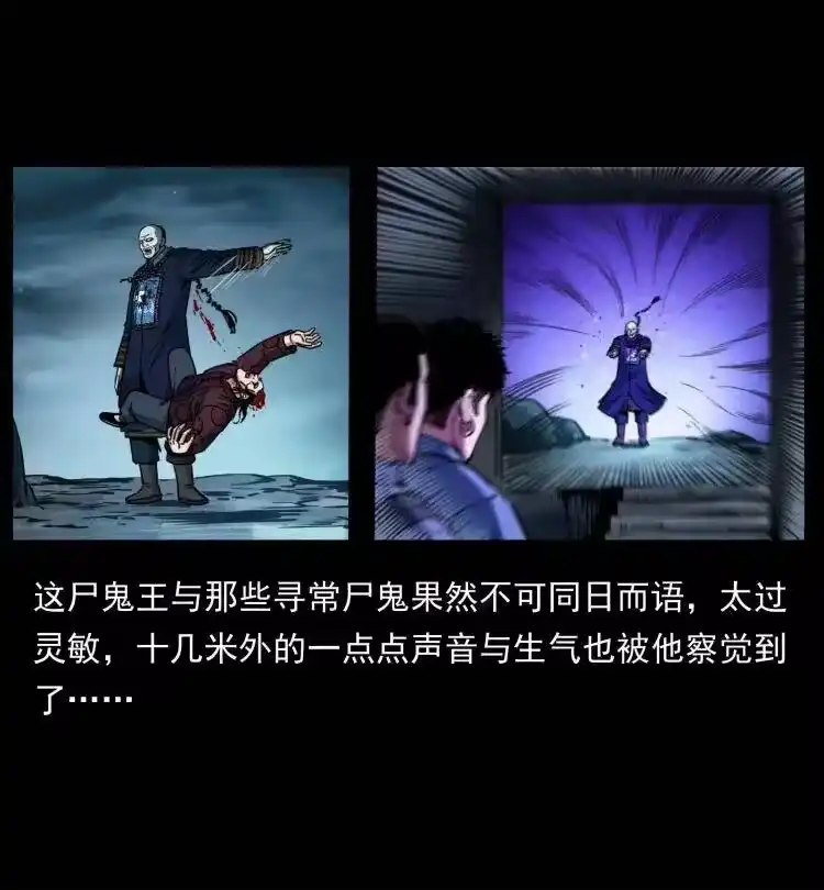 幽冥诡匠_h 357 阴尸丹 第36页