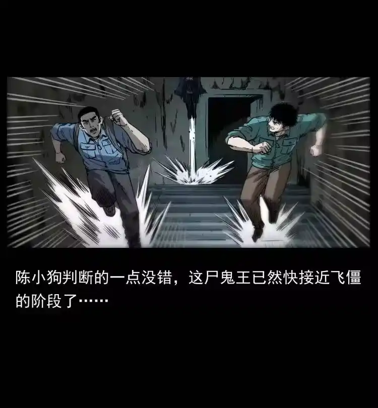 幽冥诡匠_h 357 阴尸丹 第44页