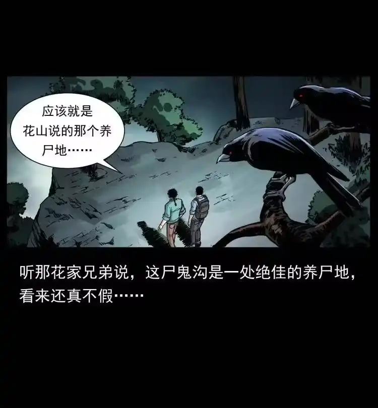 幽冥诡匠_h 357 阴尸丹 第5页