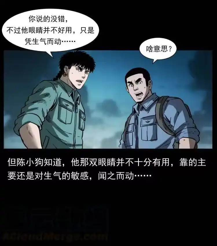 幽冥诡匠_h 357 阴尸丹 第61页