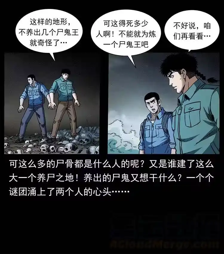 幽冥诡匠_h 358 万魂塚 第10页