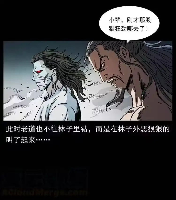 幽冥诡匠_h 362 半神之境 第31页