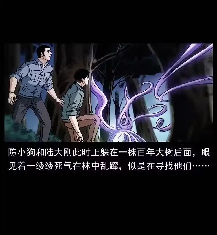 幽冥诡匠_h 362 半神之境 第35页