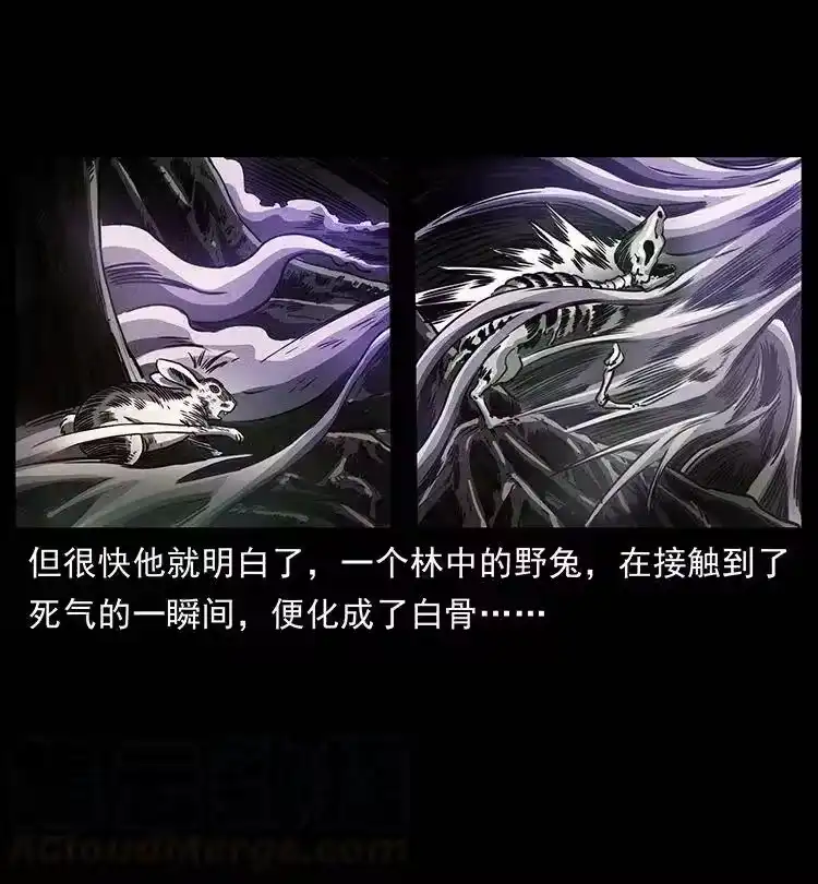 幽冥诡匠_h 362 半神之境 第37页