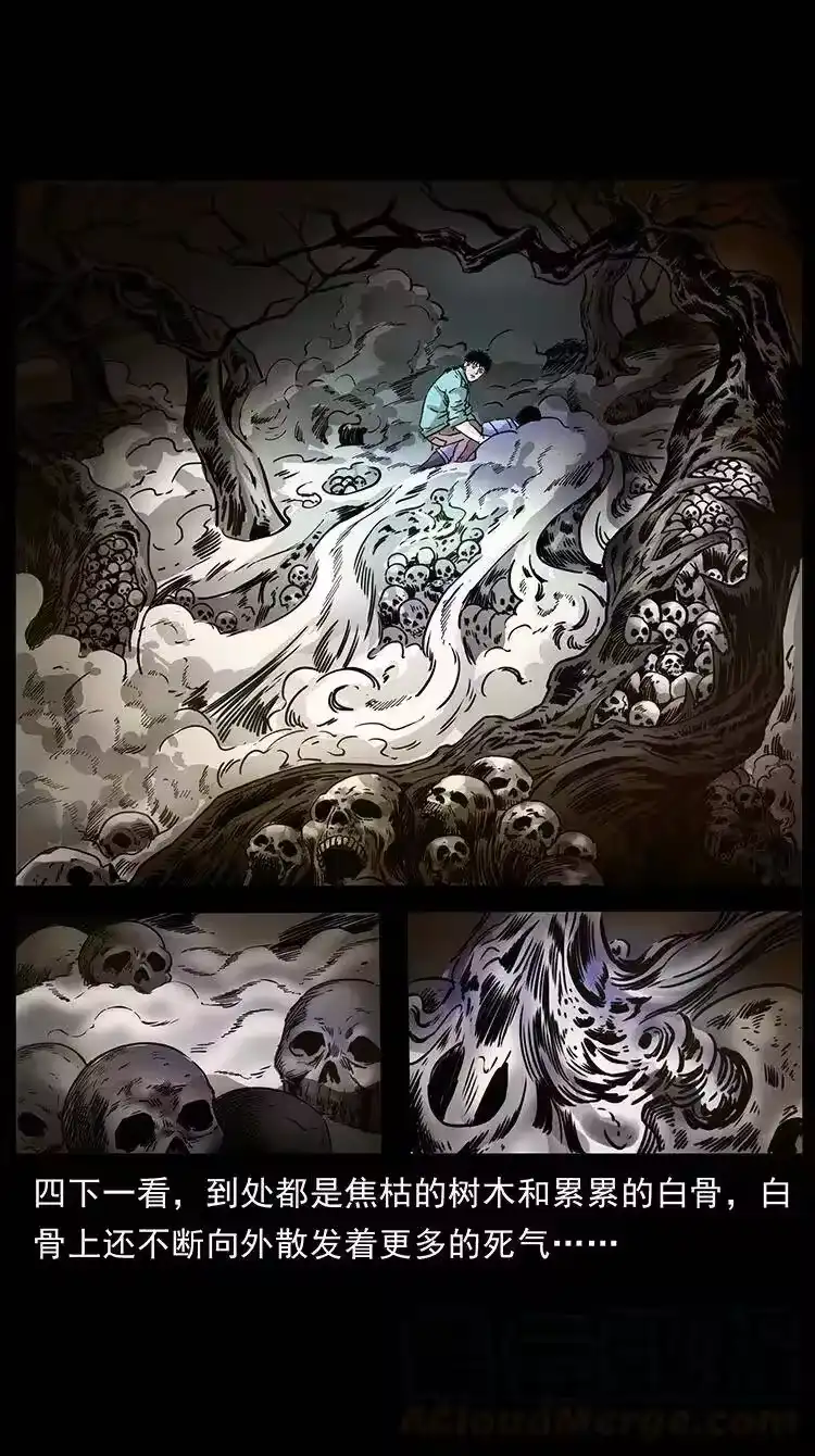幽冥诡匠_h 362 半神之境 第49页