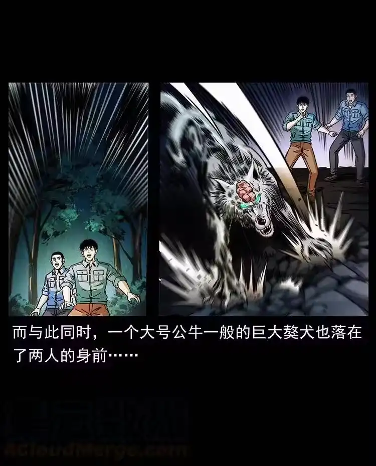 幽冥诡匠_h 362 半神之境 第64页