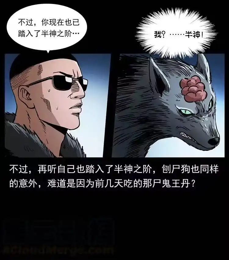幽冥诡匠_h 364 亦魔亦道 第61页