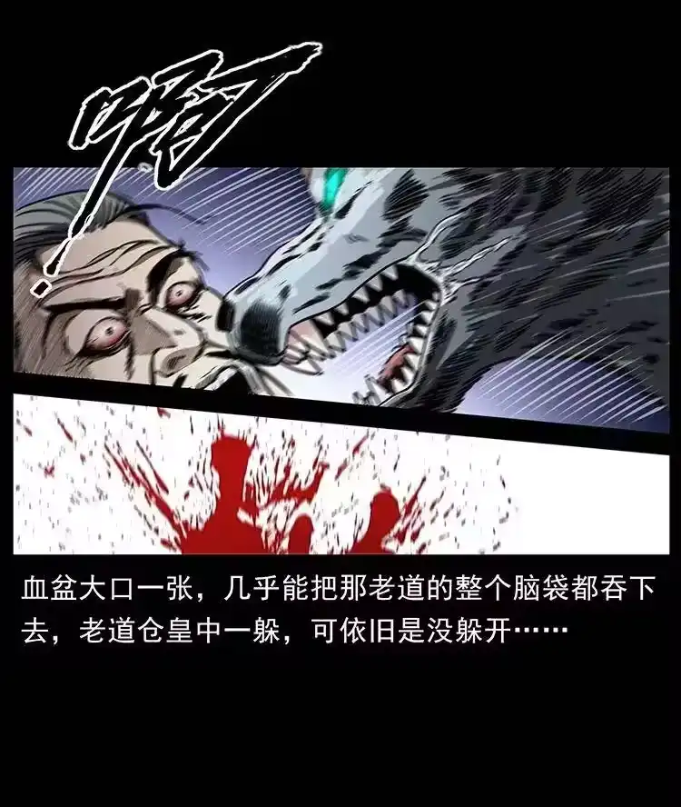 幽冥诡匠_h 365 死的诅咒 第35页
