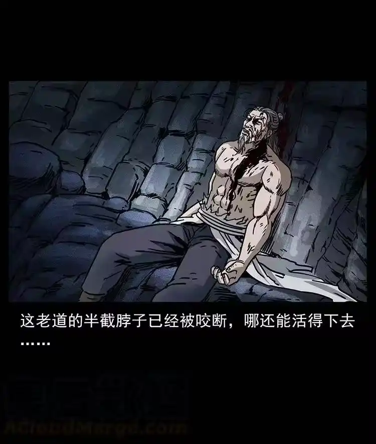幽冥诡匠_h 365 死的诅咒 第43页