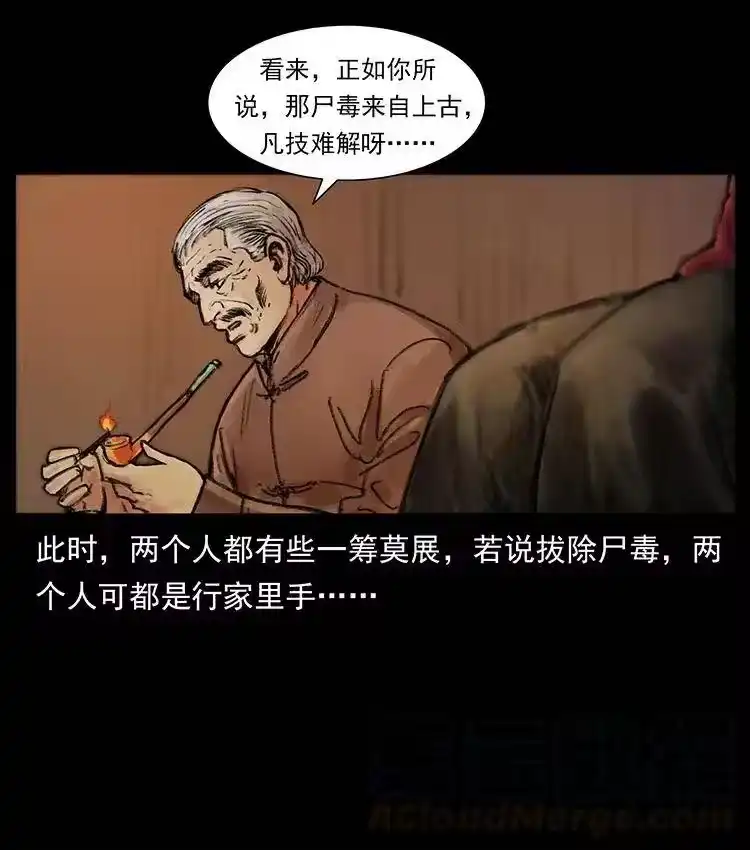 幽冥诡匠_h 368 上古尸毒 第55页