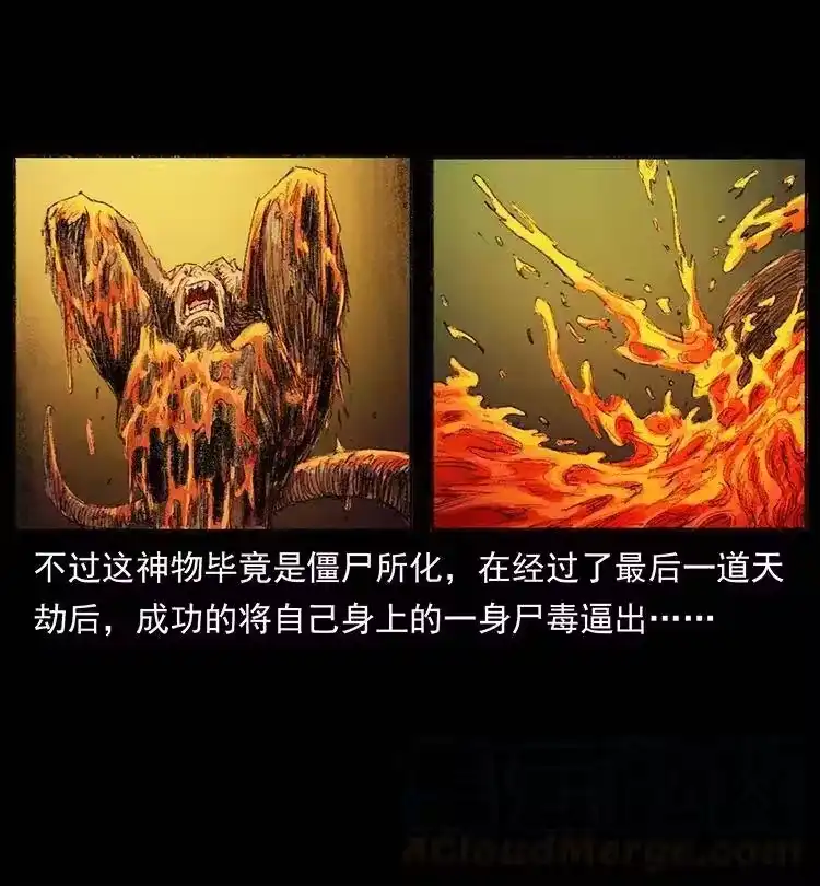 幽冥诡匠_h 368 上古尸毒 第64页