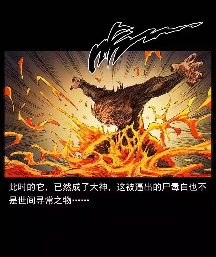 幽冥诡匠_h 368 上古尸毒 第65页