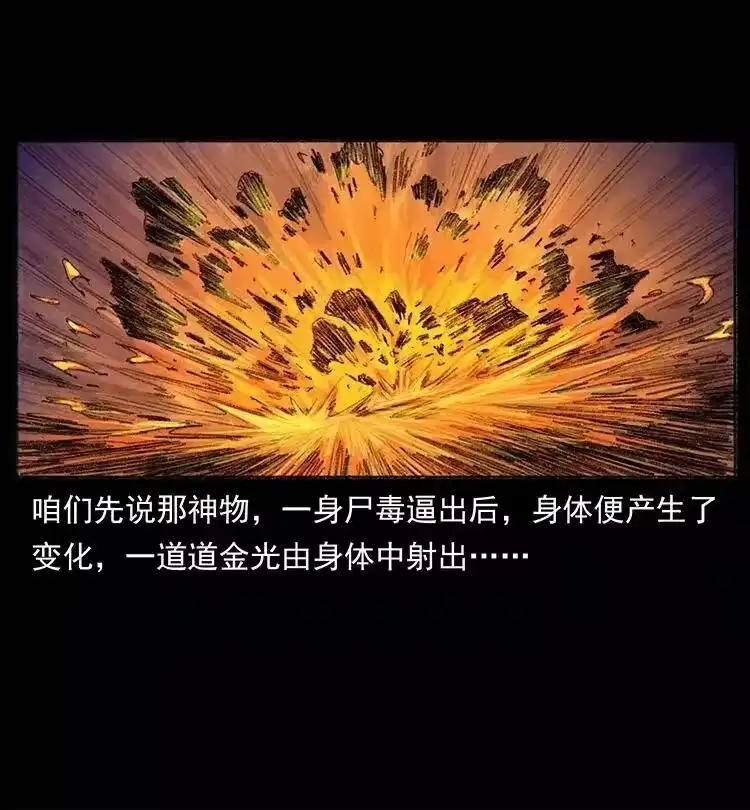 幽冥诡匠_h 368 上古尸毒 第66页