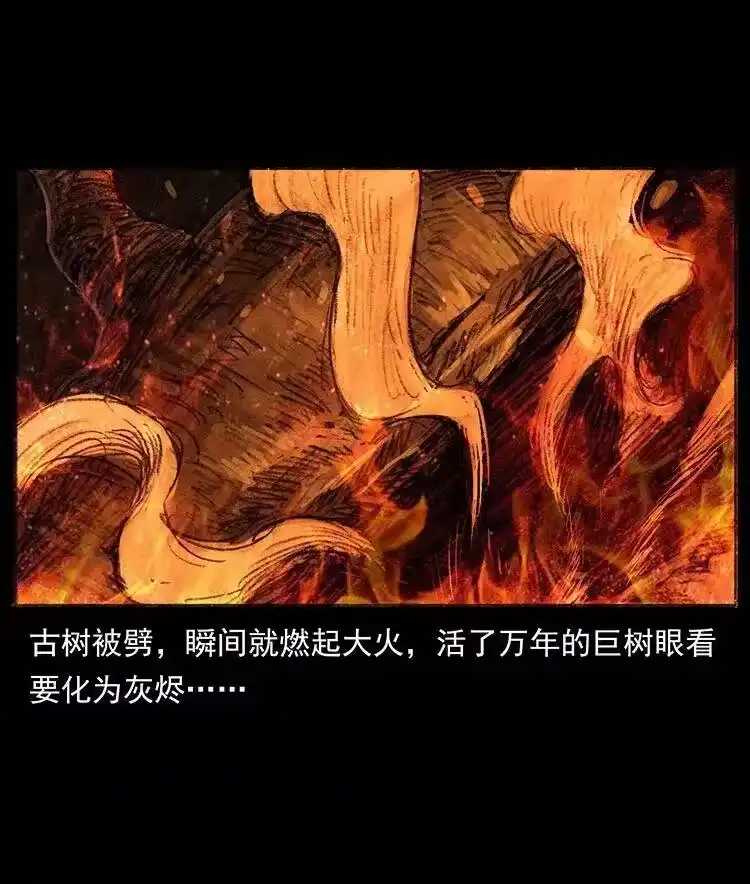 幽冥诡匠_h 368 上古尸毒 第86页