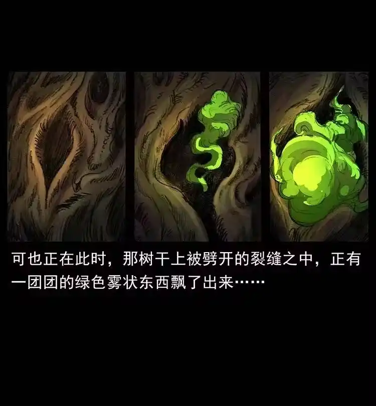 幽冥诡匠_h 369 以毒攻毒 第5页