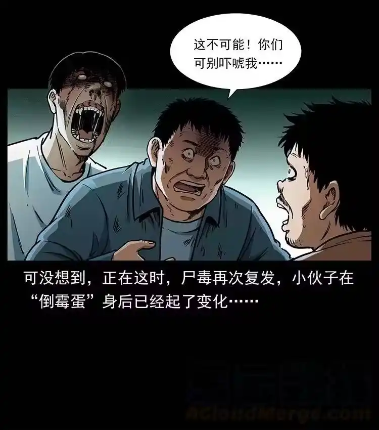 幽冥诡匠_h 369 以毒攻毒 第52页
