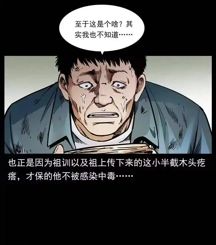 幽冥诡匠_h 369 以毒攻毒 第63页