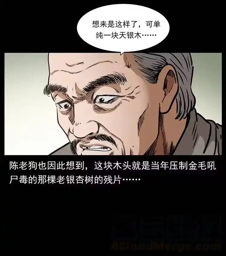 幽冥诡匠_h 369 以毒攻毒 第67页