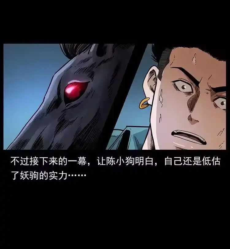 幽冥诡匠_h 370 乌翅凤凰 第17页