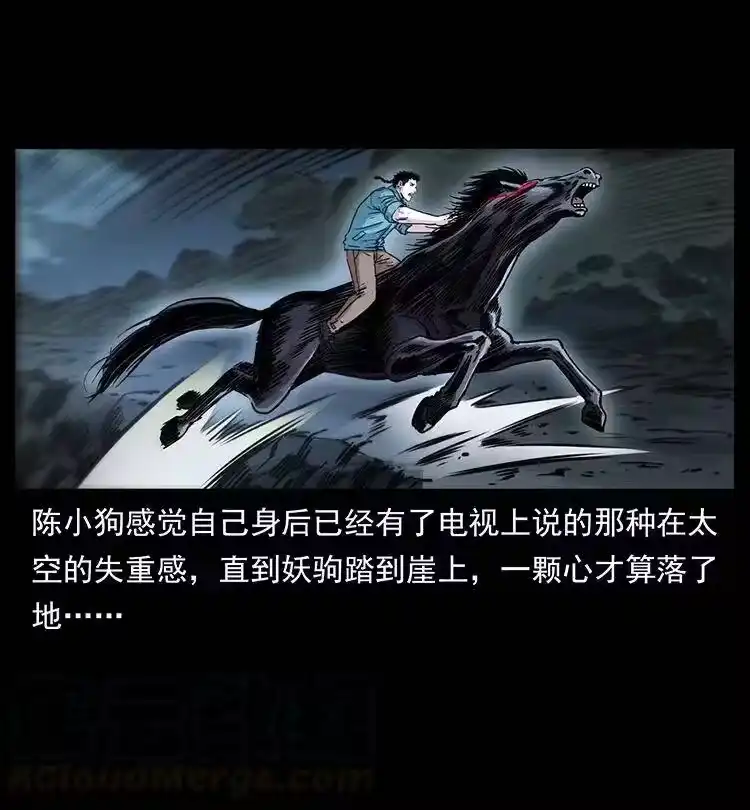 幽冥诡匠_h 370 乌翅凤凰 第19页