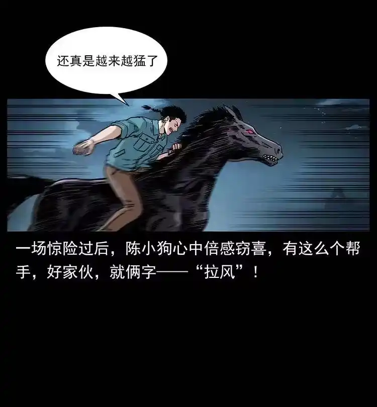 幽冥诡匠_h 370 乌翅凤凰 第21页