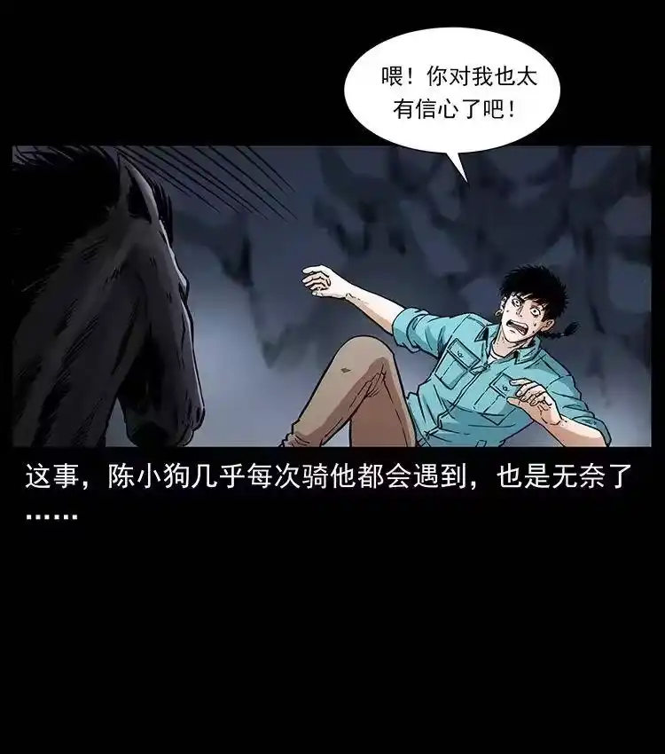 幽冥诡匠_h 370 乌翅凤凰 第24页
