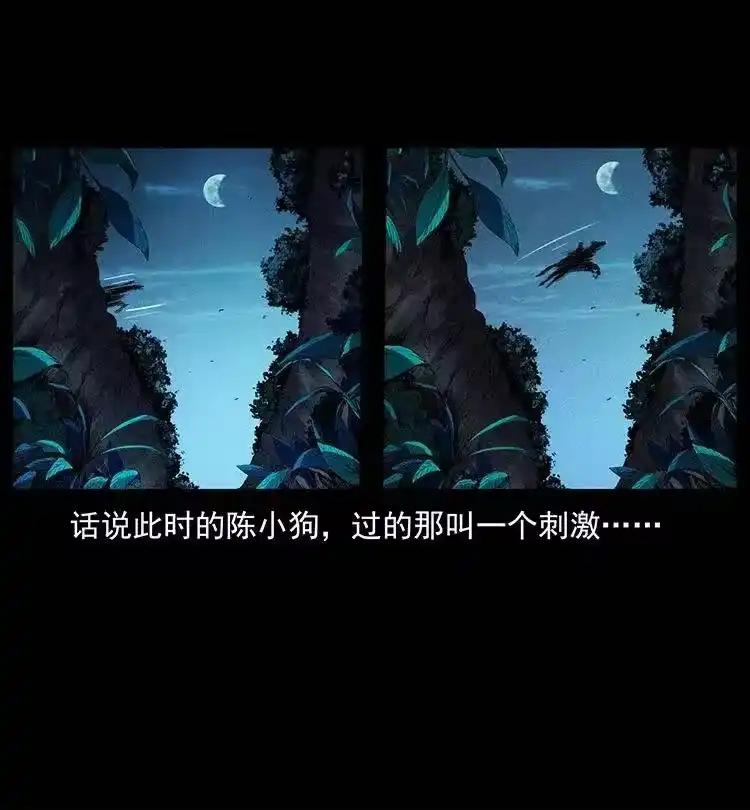 幽冥诡匠_h 370 乌翅凤凰 第3页