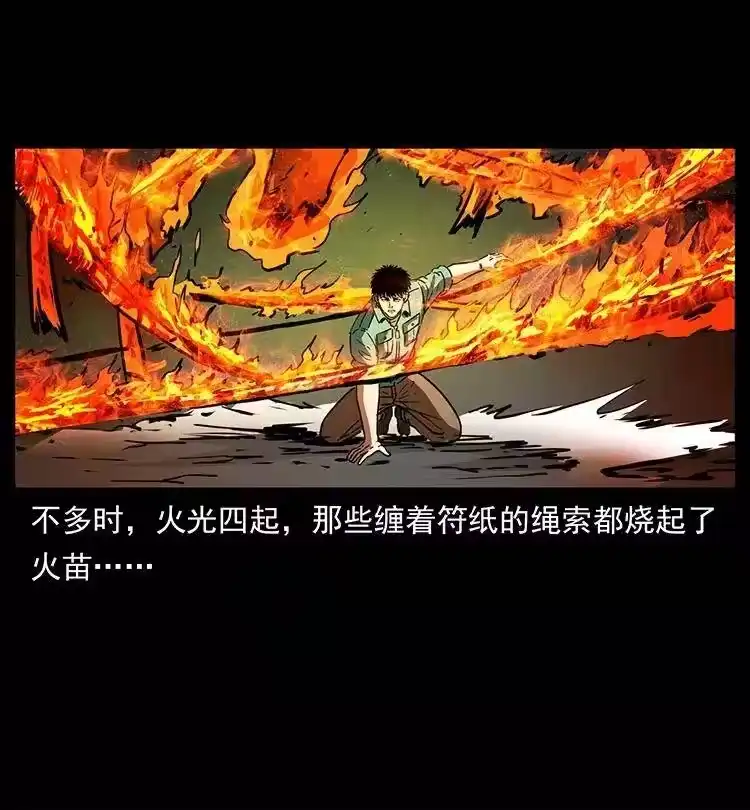 幽冥诡匠_h 370 乌翅凤凰 第38页
