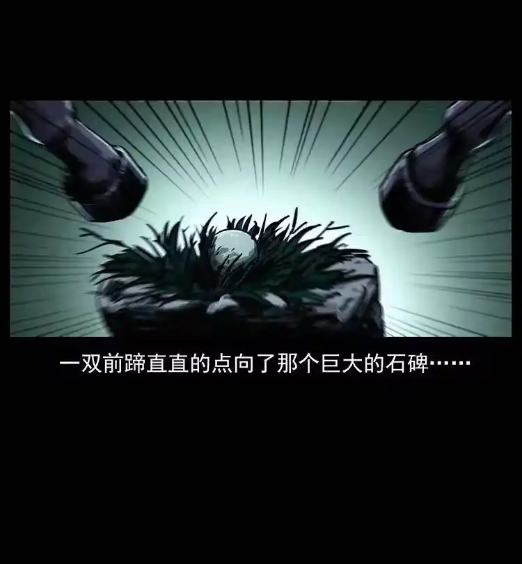 幽冥诡匠_h 370 乌翅凤凰 第41页