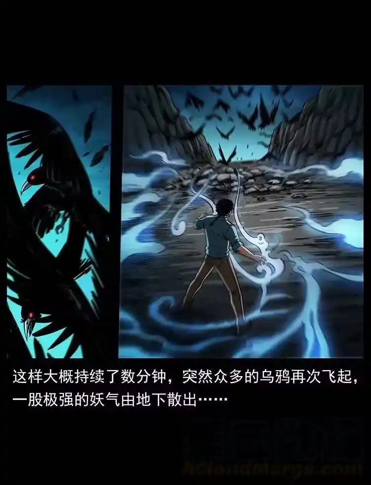 幽冥诡匠_h 370 乌翅凤凰 第49页