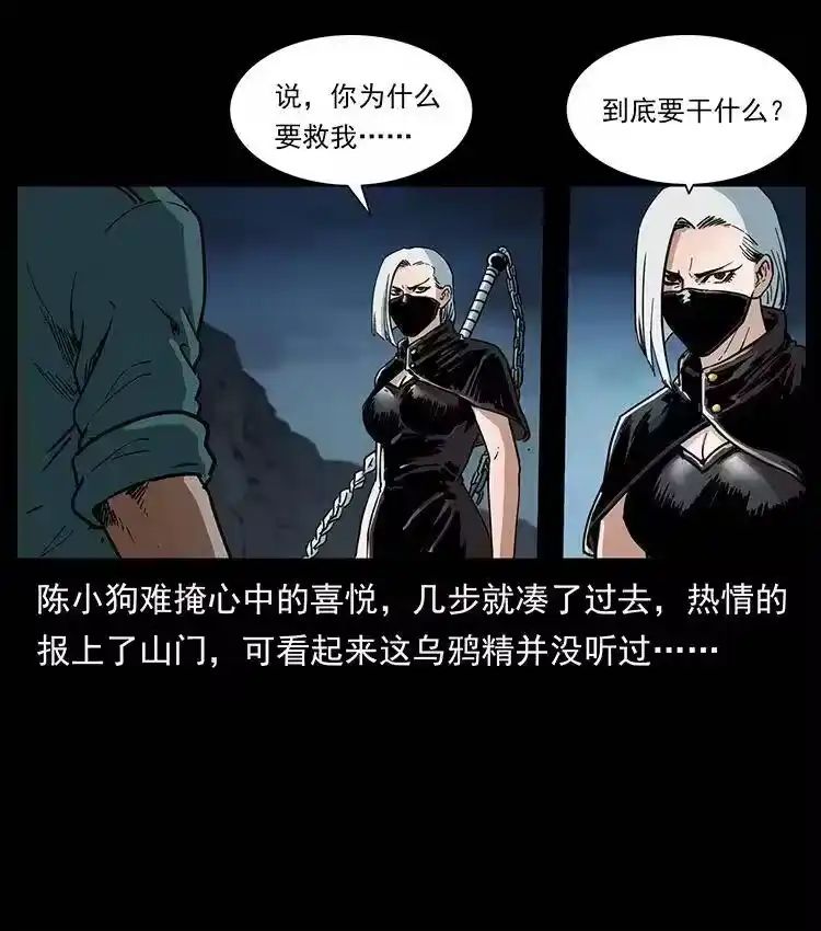 幽冥诡匠_h 370 乌翅凤凰 第56页