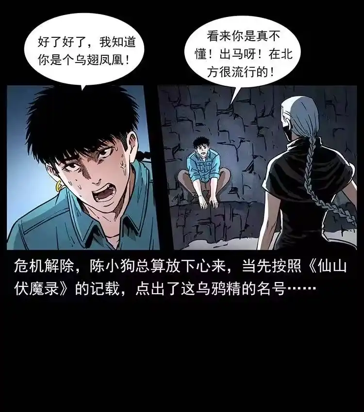 幽冥诡匠_h 370 乌翅凤凰 第65页