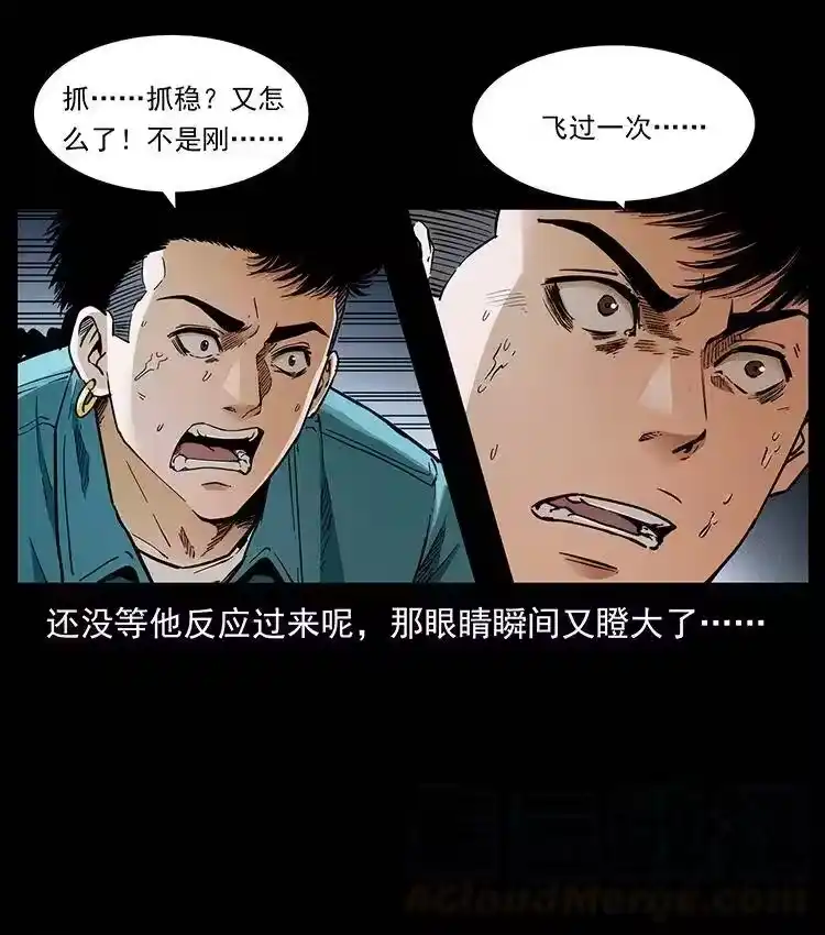 幽冥诡匠_h 370 乌翅凤凰 第7页
