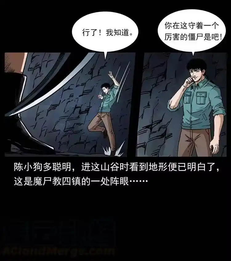 幽冥诡匠_h 370 乌翅凤凰 第70页