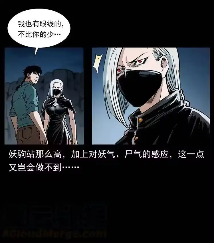 幽冥诡匠_h 370 乌翅凤凰 第73页