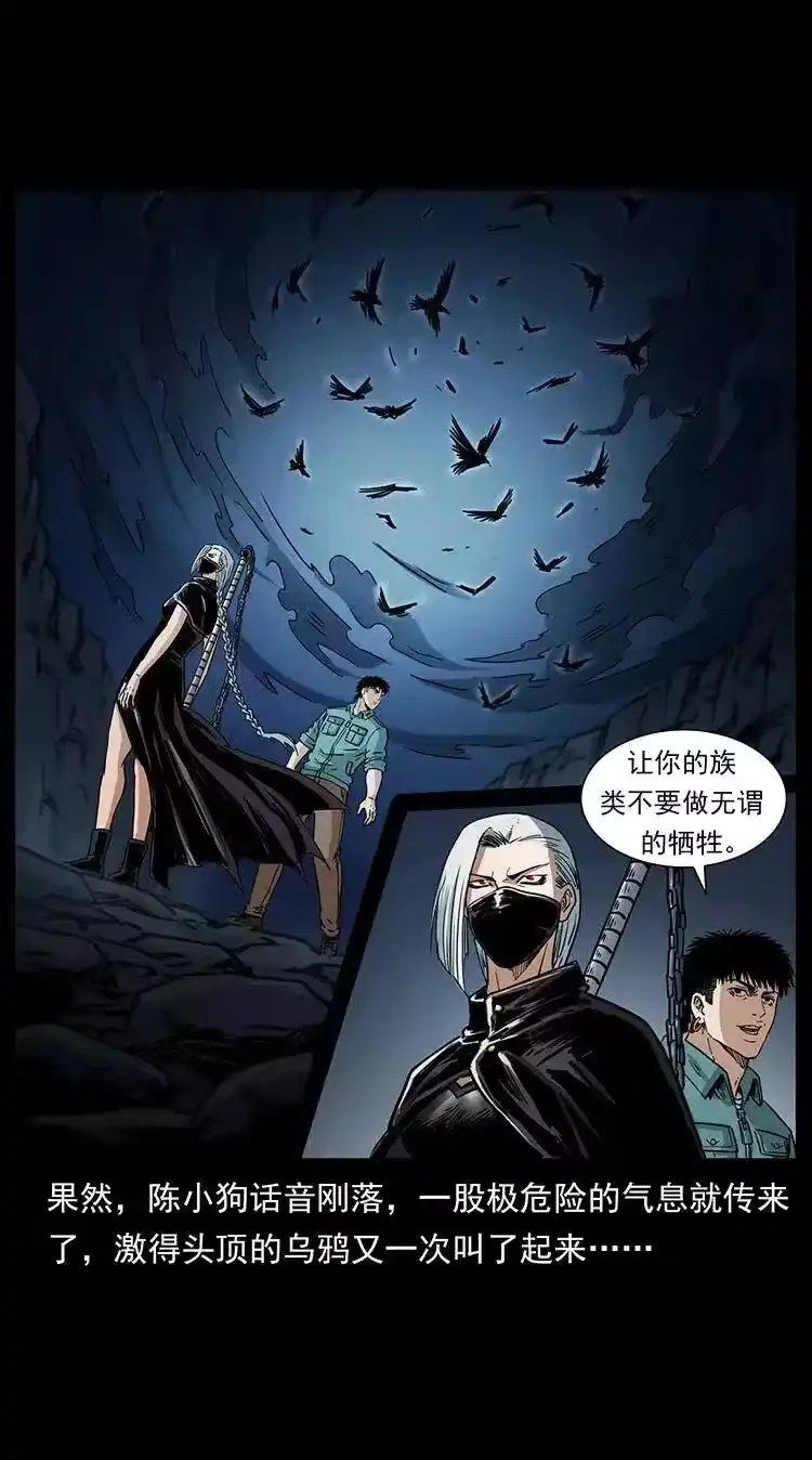 幽冥诡匠_h 370 乌翅凤凰 第74页