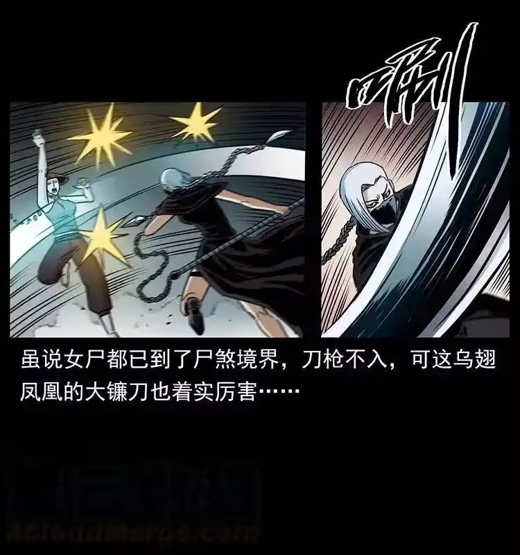 幽冥诡匠_h 371 鸦 第13页