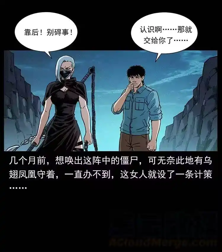 幽冥诡匠_h 371 鸦 第4页