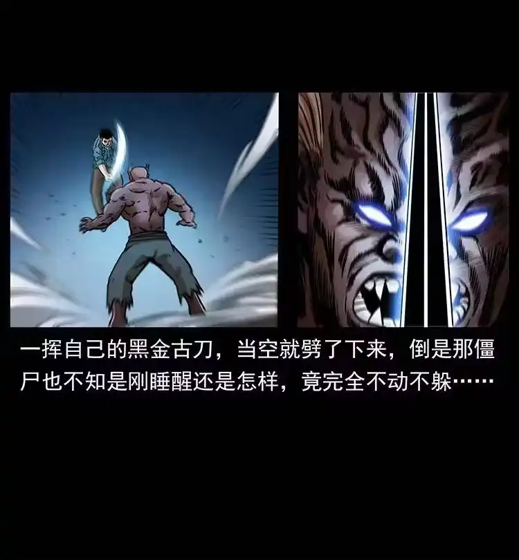 幽冥诡匠_h 372 天击雷尸 第38页