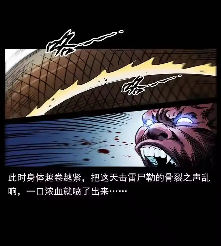 幽冥诡匠_h 372 天击雷尸 第68页