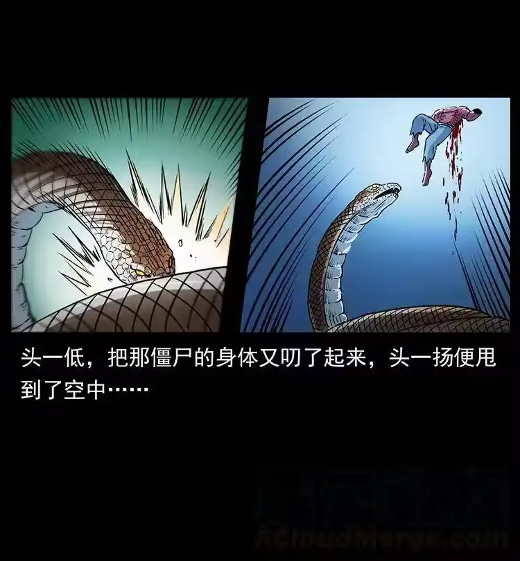 幽冥诡匠_h 372 天击雷尸 第70页