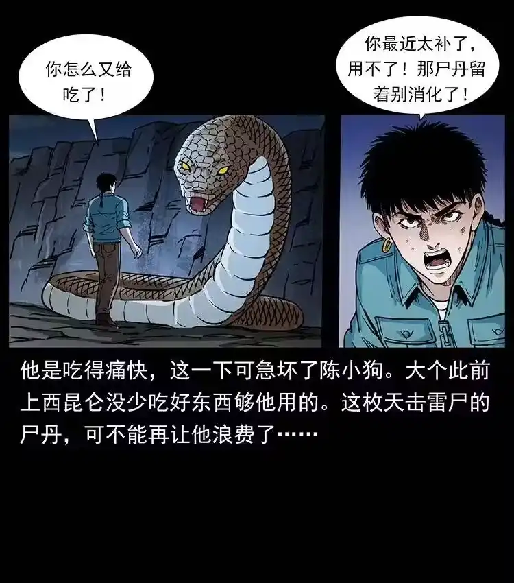 幽冥诡匠_h 372 天击雷尸 第72页