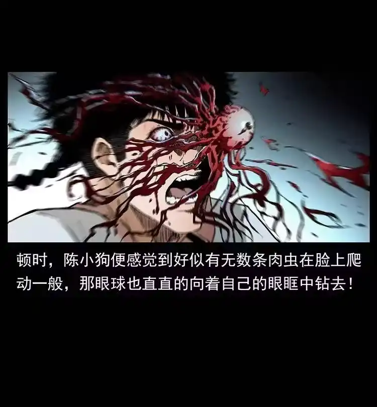 幽冥诡匠_h 377 尸眼 第80页