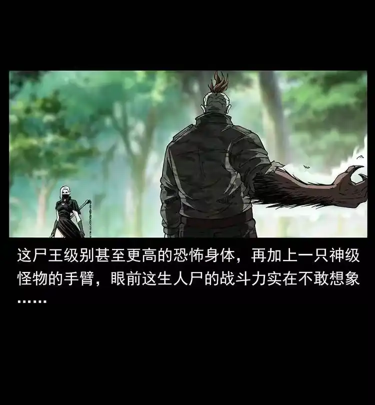 幽冥诡匠_h 384 路障 第30页