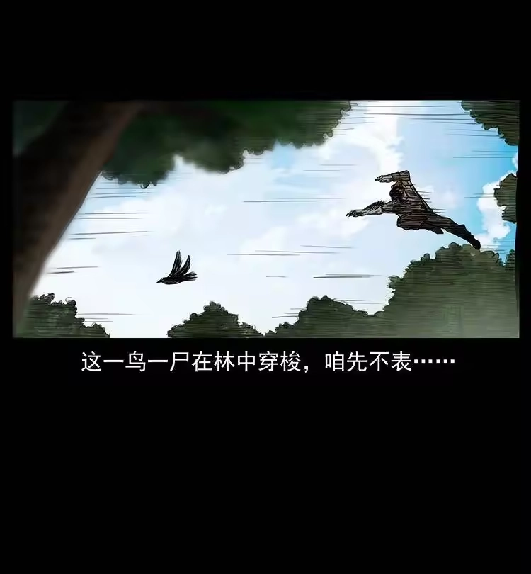 幽冥诡匠_h 384 路障 第51页
